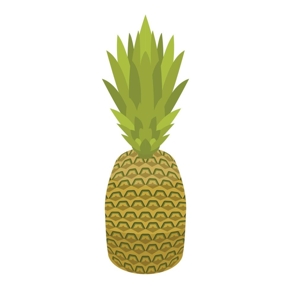 Ganze Ananas-Ikone, isometrischer Stil vektor
