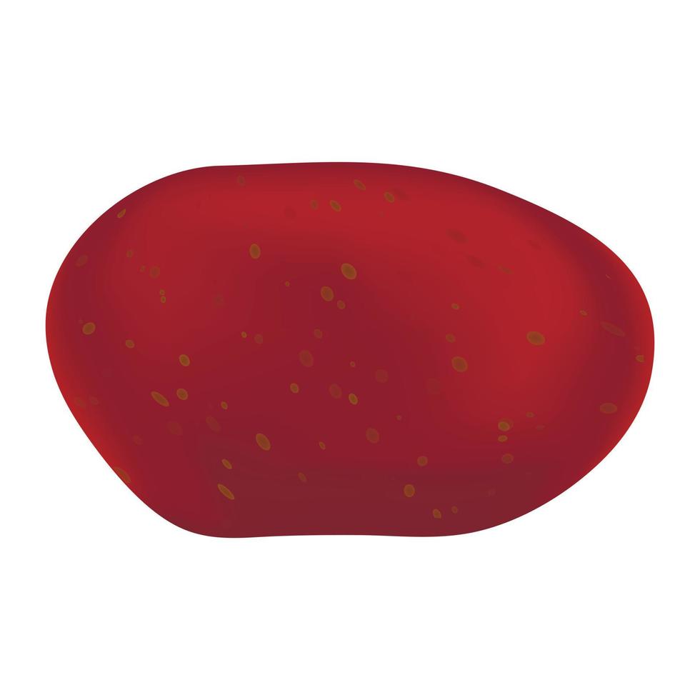 rote Kartoffelikone, realistischer Stil vektor