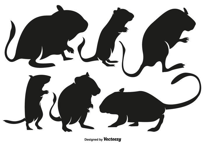 Vector Hochwertige Gerbil Nagetier Silhouetten Set