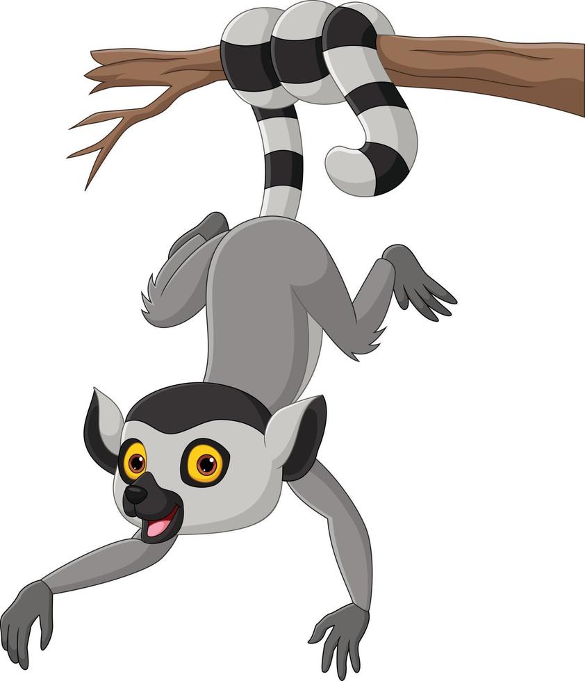 niedlicher lemur der karikatur, der am ast hängt vektor