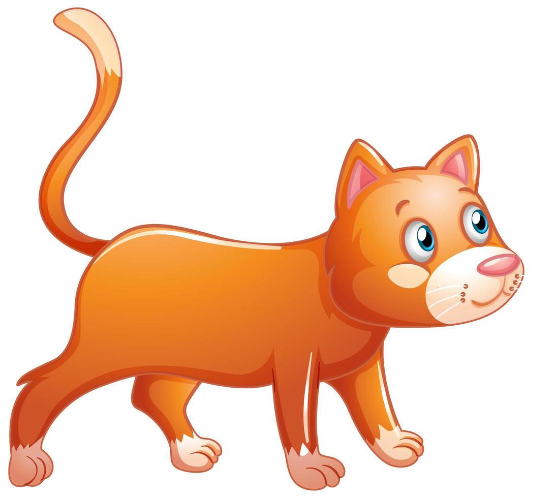 en söt orange katt på vit bakgrund vektor