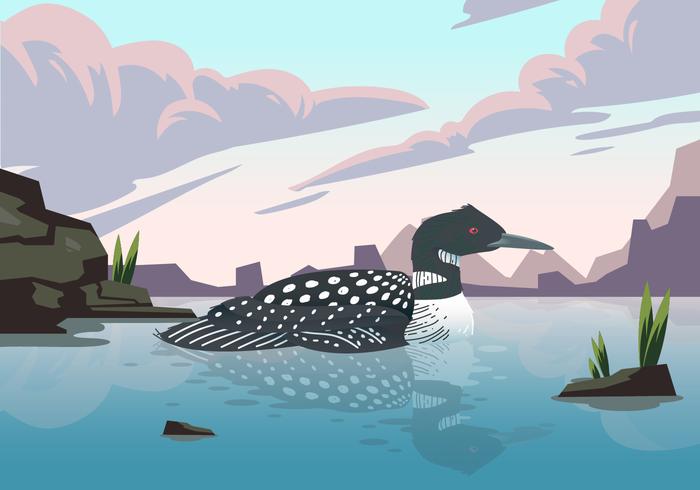 Loon Bird On Lake Vector Illustration