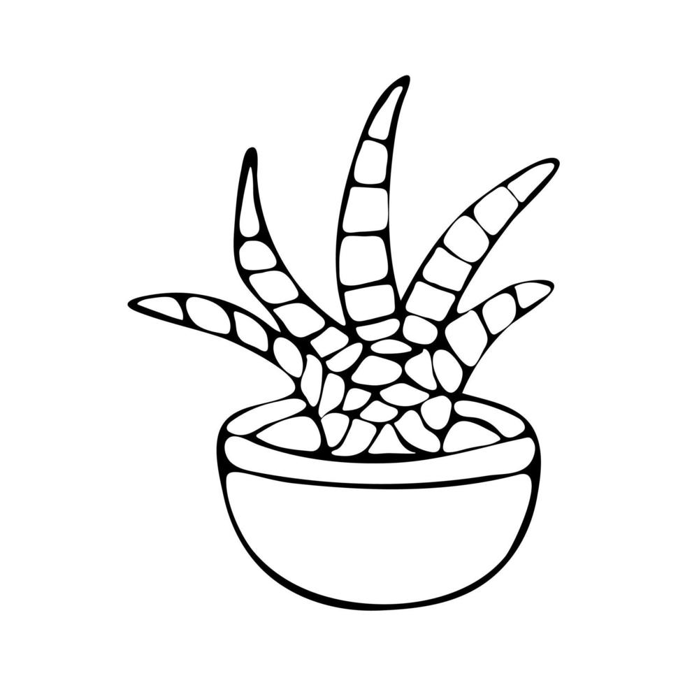scharlachrote Blume im Topf Schwarz-Weiß-Vektorkarte vektor