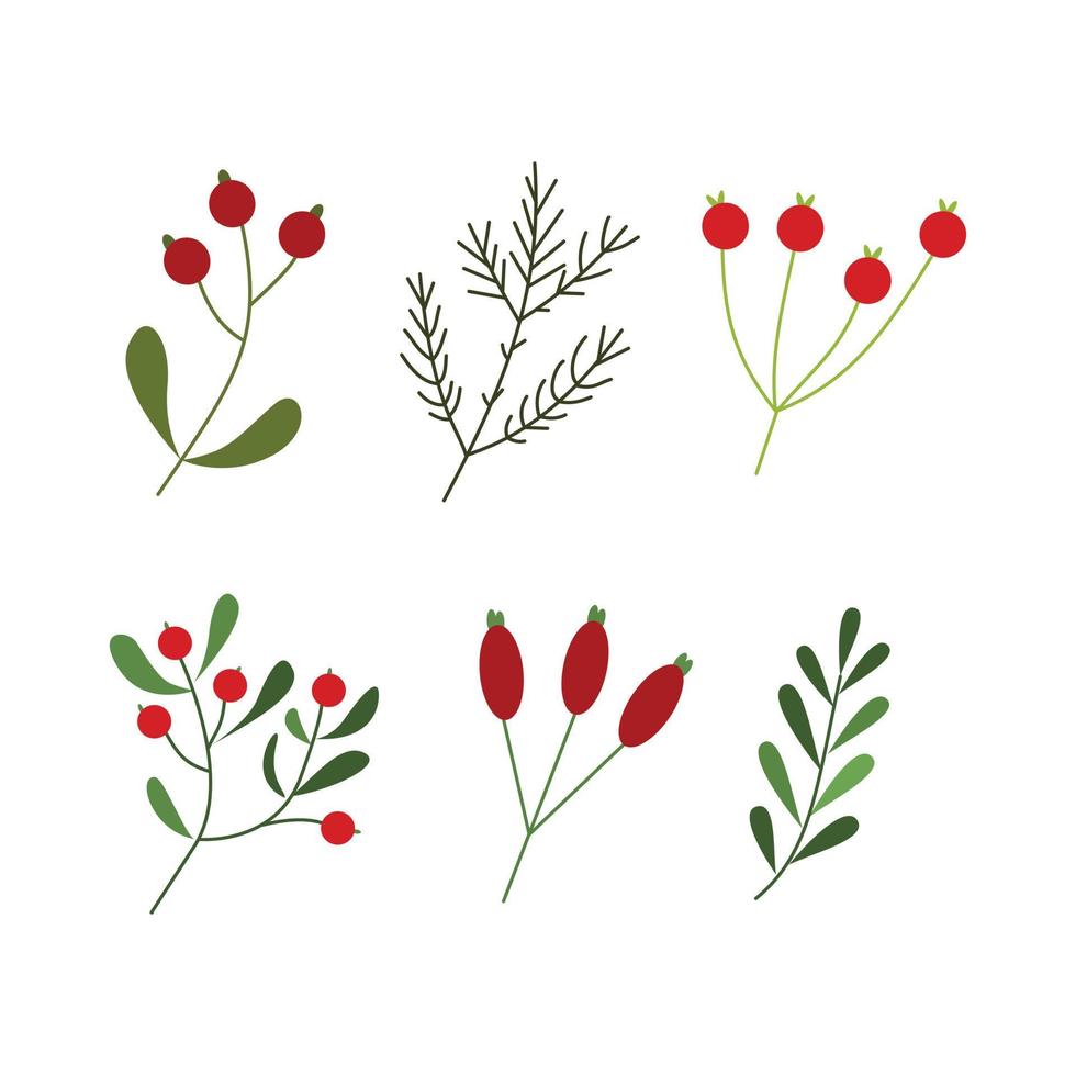 satz winterblatt- und beerenillustration für gestaltungselement. vintage florale handgezeichnete verzierung für weihnachtsdesign vektor