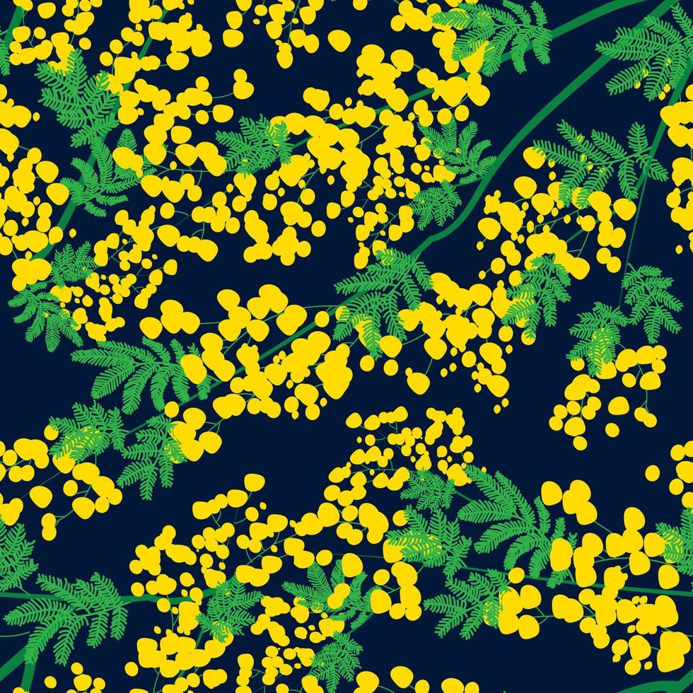 botanisches nahtloses muster mit gelben mimosenblumen und -blättern auf einem weißen hintergrund. Hintergrund mit eleganten Blütenpflanzen. Vektor-Illustration vektor