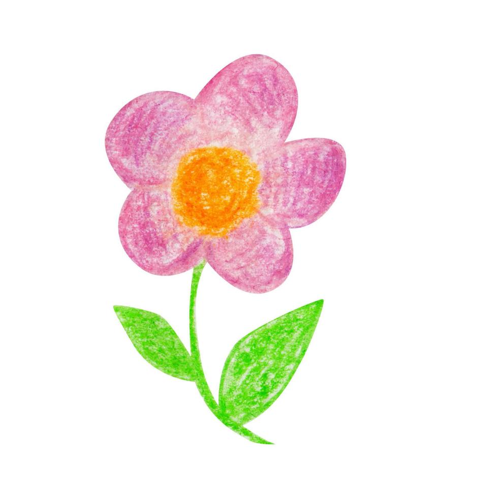 eine einfache Blume, die mit Buntstiften von Hand gezeichnet wurde. Cartoon-Stil. isoliert auf weißem Hintergrund vektor