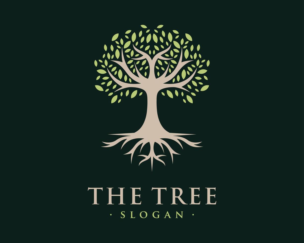 träd gren trä stam blad natur grön liv rot jord ekologi klassisk lyx vektor logotyp design
