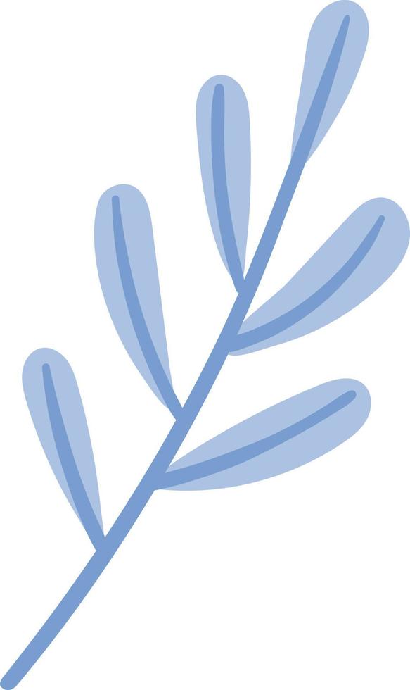 ein Zweig mit blauen Blättern. vektor