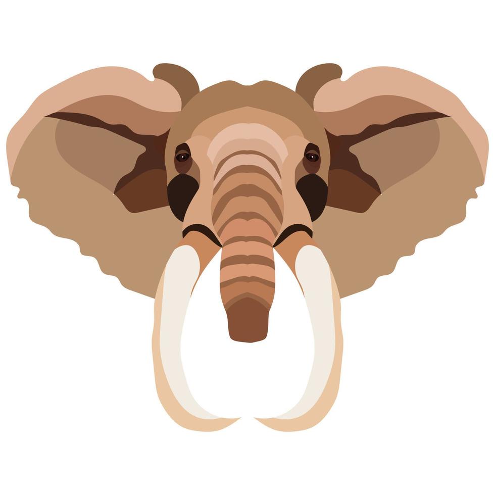 Elefant Tier wilder Kopf bunter Charakter Symbol Vektor Illustration Design