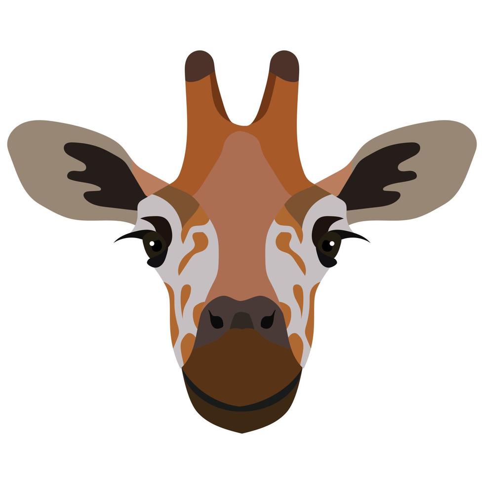 niedlicher Giraffenkopf isoliert auf weißem Hintergrund. afrikanisches Wildtier. illustration mit kleiner giraffe im karikaturstil kann für kinderkleidung oder dingdesign, tierladen, feiertagskarte verwendet werden. vektor