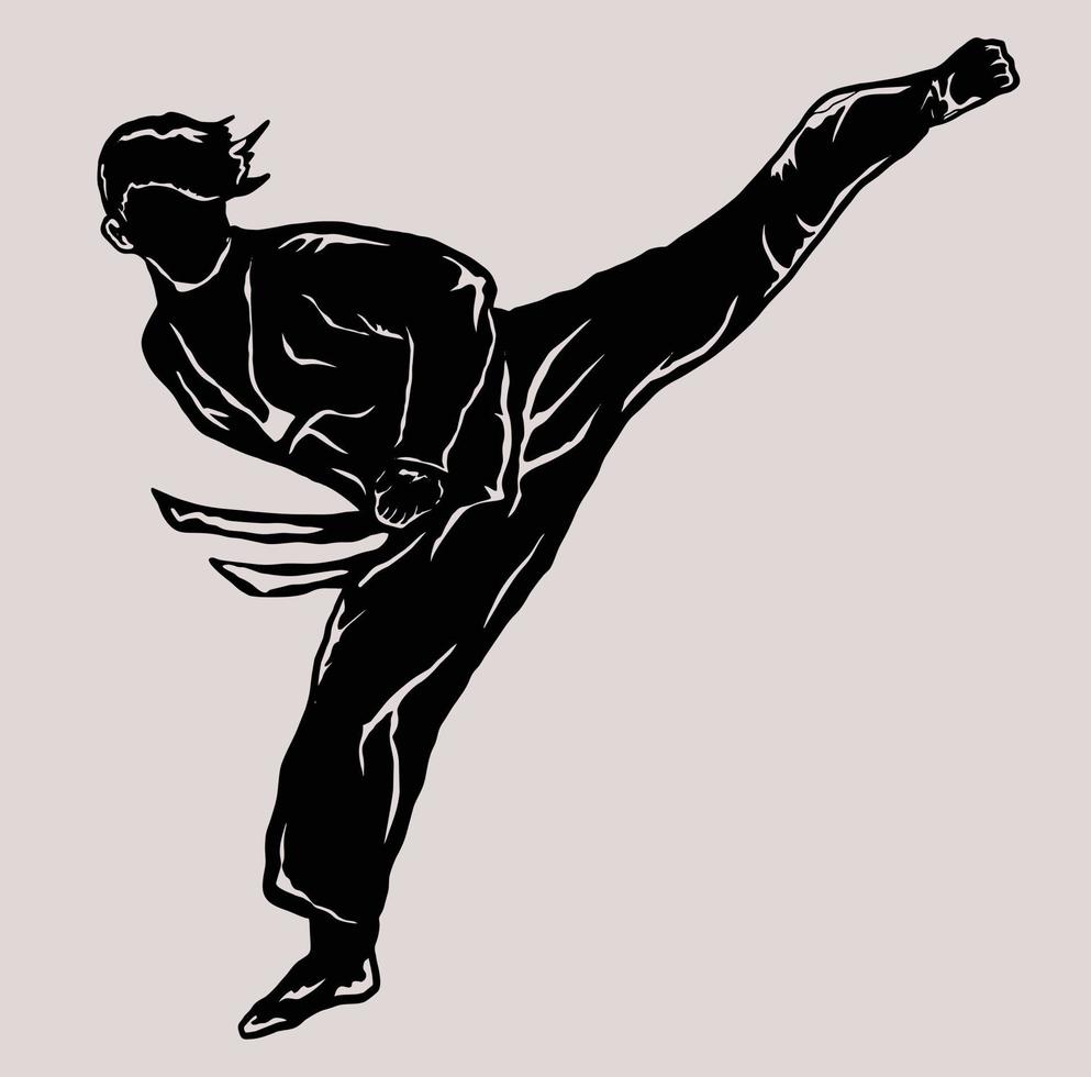Taekowndo-Kick-Vektor-Logo-Silhouette vektor