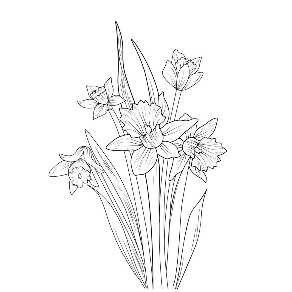 påsklilja blomma blommor och gren vektor illustration. hand teckning vektor illustation för de färg bok eller sida svart och vit graverat bläck konst, för barn eller vuxna.