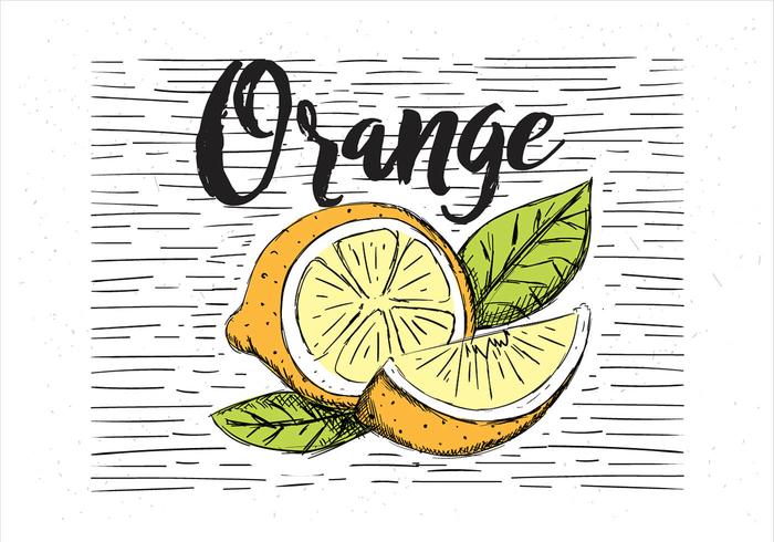 Gratis Vektor Handdragen Orange Illustration
