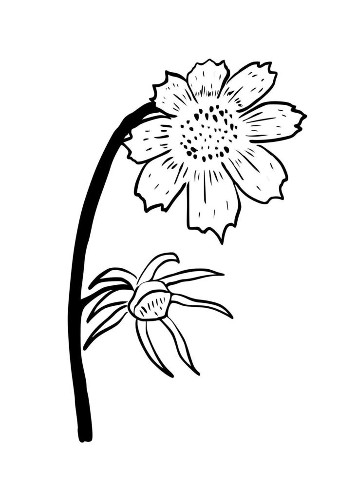 ritad för hand illustration blomma för kommersiell social media natur bakgrund befordran händelse vektor