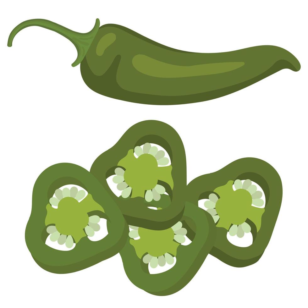 grön varm peppar. skivor av grön varm peppar. vektor illustration av grön peppar. isolerat bild av peppar.