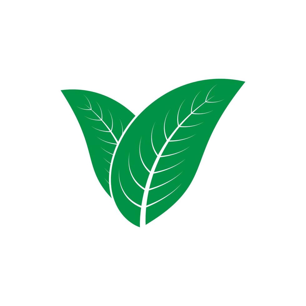 Blatt-Natur-Logo vektor