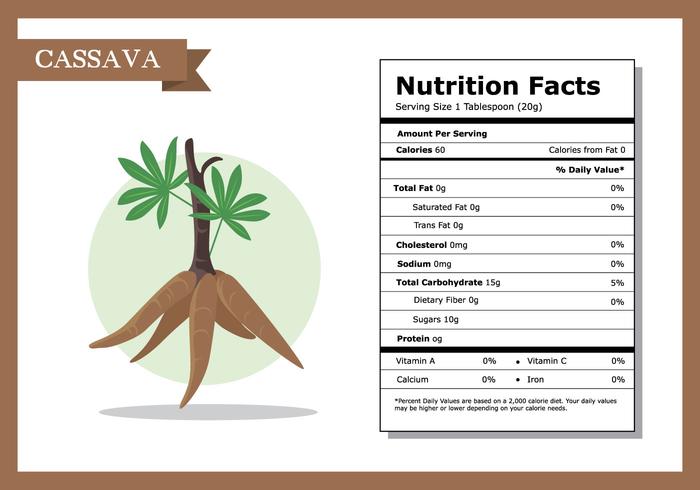 Ernährung Fakten Cassava Vektor