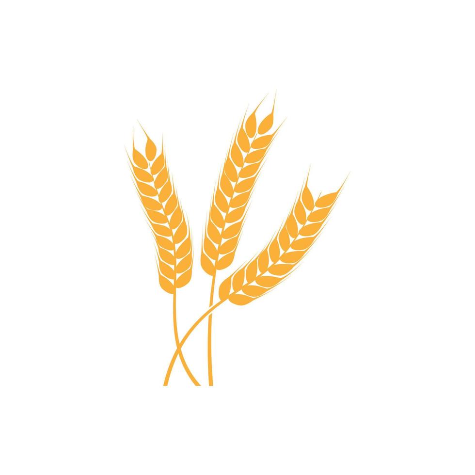 jordbruk vete logotyp vektor