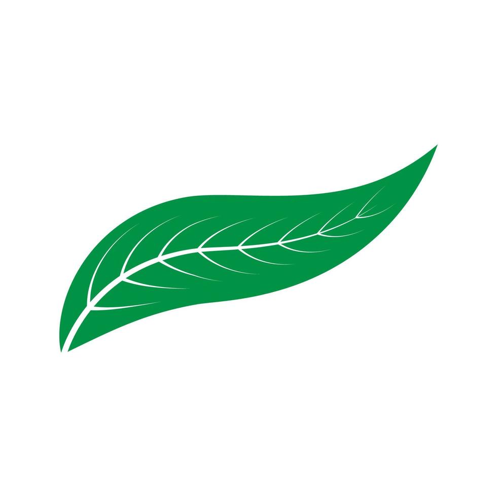 löv natur logotyp vektor