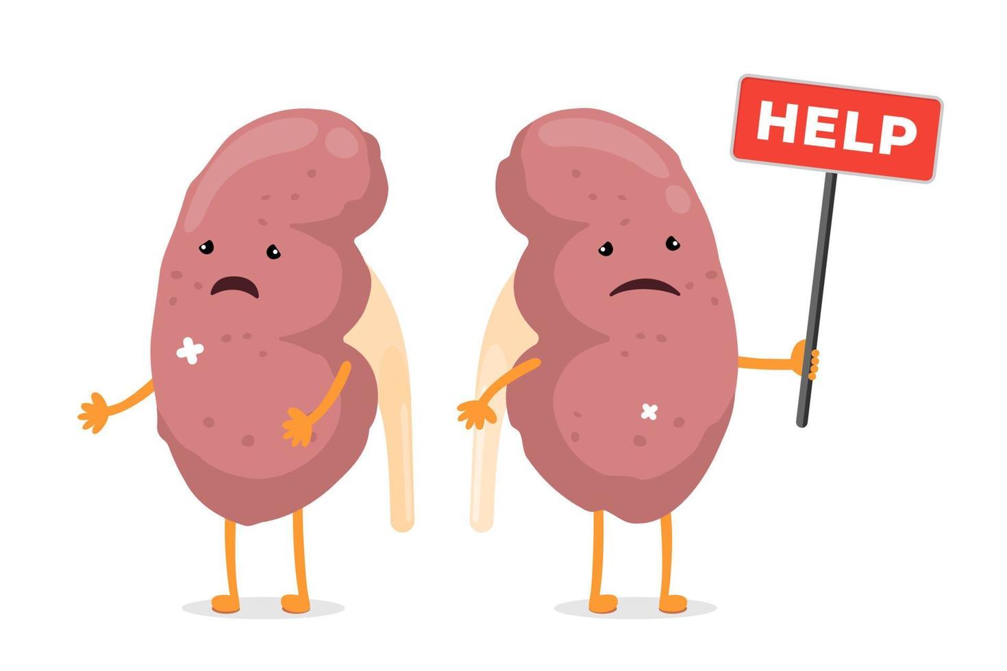 karikatur traurig leidende kranke nierenfiguren. ungesunde Schädigung Urogenitalsystem menschliches inneres Organ Maskottchen mit Hilfszeichen. krankheits- und schmerznierenkonzept. Cartoon-Vektor-Eps-Illustration vektor