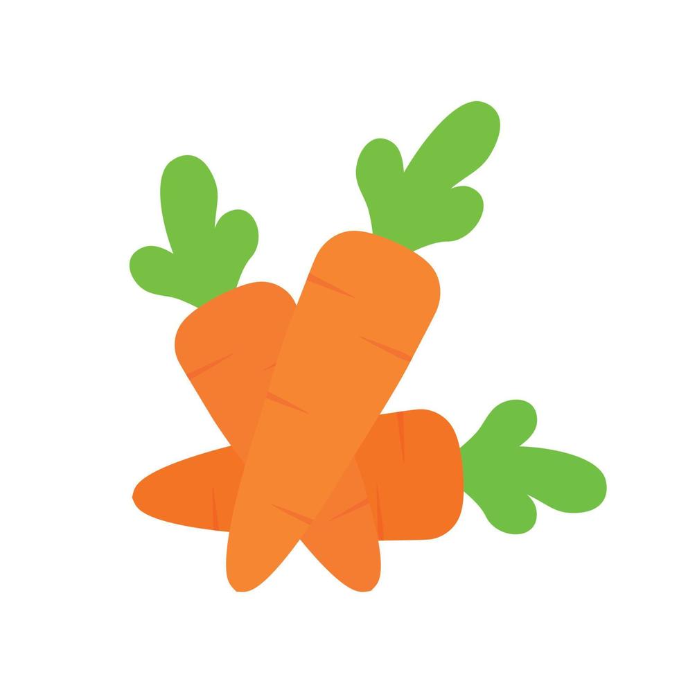 Symbolvektor für frisches Karottengemüse isoliert auf weißem Hintergrund vektor