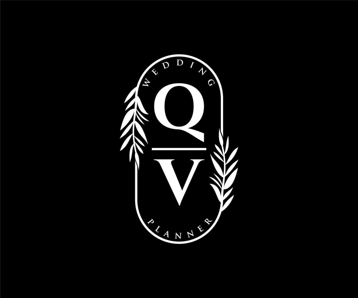 qv initialer brev bröllop monogram logotyper samling, hand dragen modern minimalistisk och blommig mallar för inbjudan kort, spara de datum, elegant identitet för restaurang, boutique, Kafé i vektor