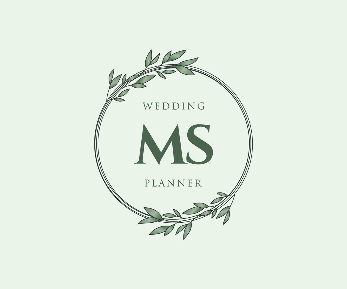 ms initialen brief hochzeitsmonogramm logos sammlung, handgezeichnete moderne minimalistische und florale vorlagen für einladungskarten, save the date, elegante identität für restaurant, boutique, café im vektor