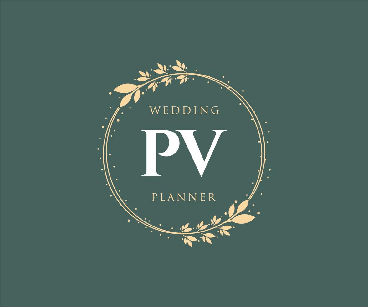 pv initialen brief hochzeitsmonogramm logos sammlung, handgezeichnete moderne minimalistische und florale vorlagen für einladungskarten, save the date, elegante identität für restaurant, boutique, café im vektor