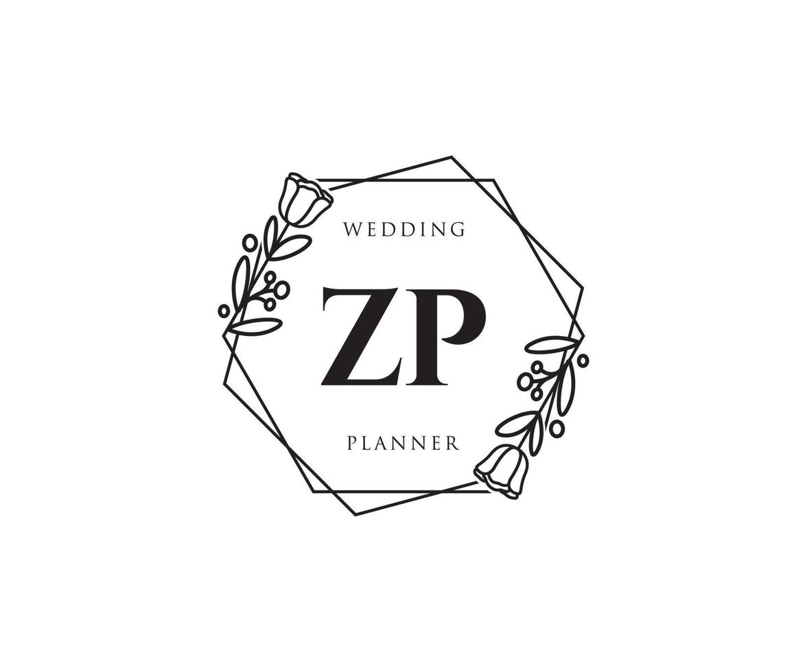 anfängliches zp feminines Logo. verwendbar für Natur-, Salon-, Spa-, Kosmetik- und Schönheitslogos. flaches Vektor-Logo-Design-Vorlagenelement. vektor