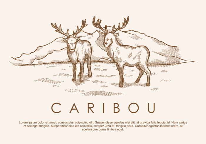 Free Hand Drawn Deer Caribou Vektoren