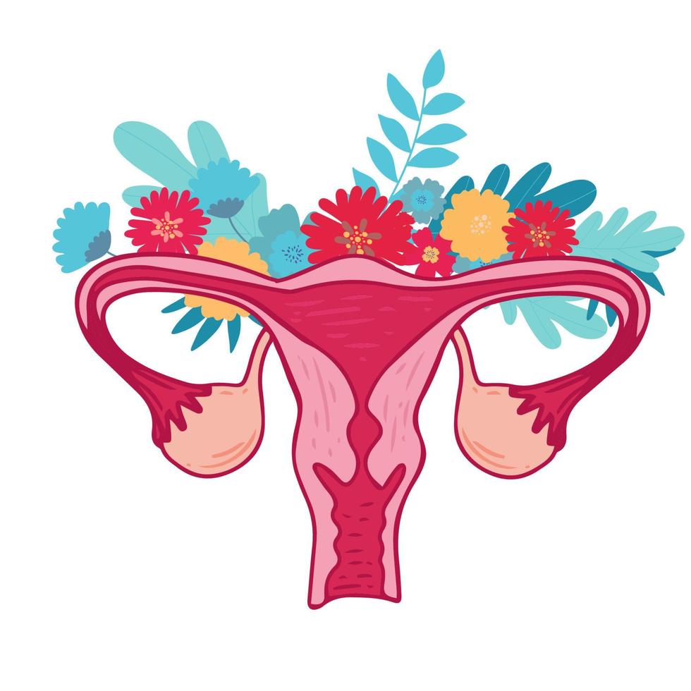 Frauengesundheit - Blumen des polyzystischen Ovarialsyndroms. patientenfreundliches Schema von pcos, multifollikulärer Zyste. Gynäkologische Probleme - neutrales medizinisches Diagramm Uterus und Uterusanhänge Handzeichnung vektor