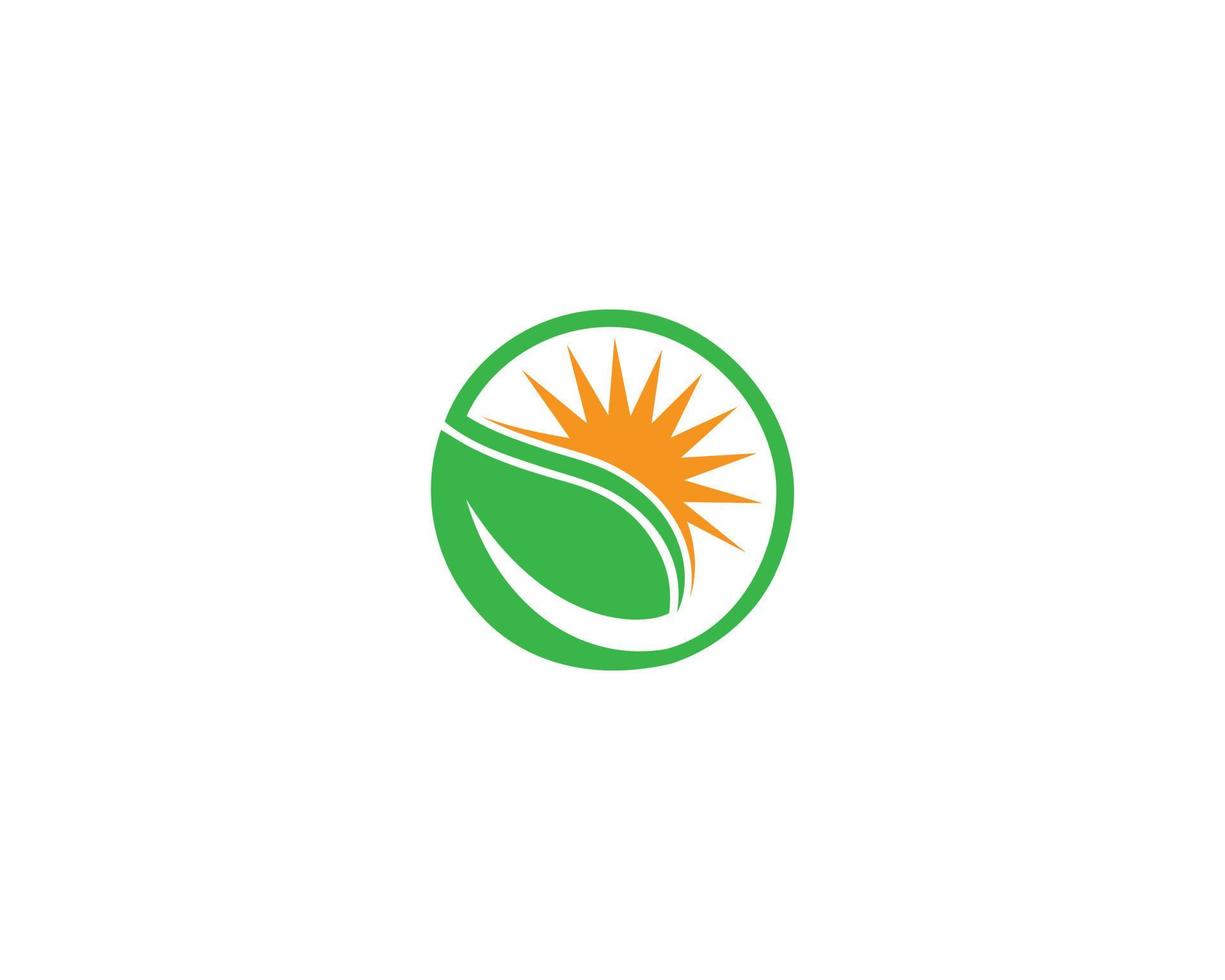 Sonnenaufgang verlässt Logo-Design Eco Green Farm Naturprodukte Vektorvorlage. vektor