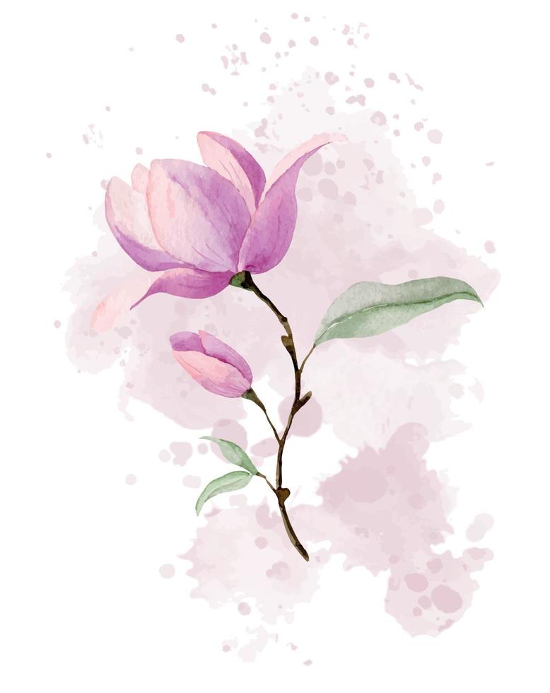 rosa magnolia blomma på delikat abstrakt fläck. blomning växt med grön löv. vattenfärg botanisk hand dragen illustration på isolerat bakgrund för hälsning kort eller bröllop inbjudningar. vektor