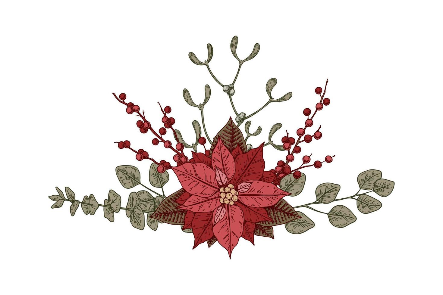 jul botanik sammansättning med julstjärna blomma och mistel. vektor illustration i skiss stil isolerat på vit bakgrund