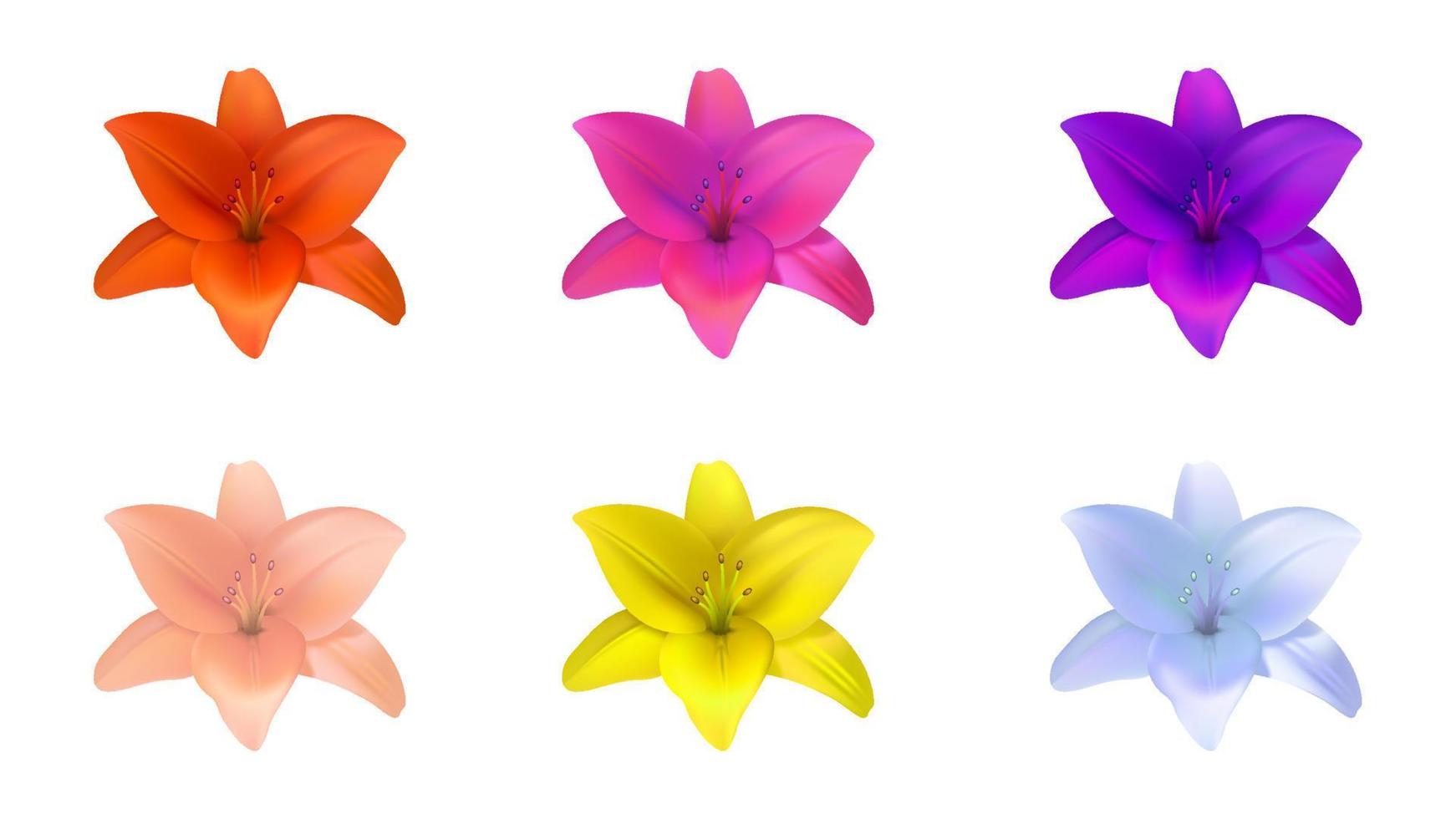 realistisches Lilienblumen-Vektorobjekt, das mit Verlaufsgitter erstellt wurde, buntes Lilienblumenobjekt auf weißem Hintergrund. vektor
