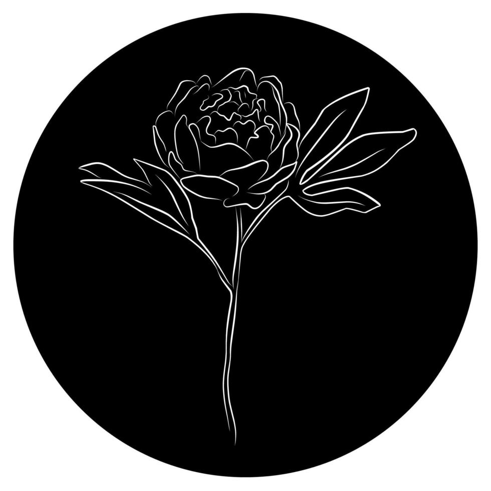 teckning av en pion med en vit linje på en svart bakgrund av avrundad form, logotyp, ikon. elegant blomma linje, vektor konst illustration.