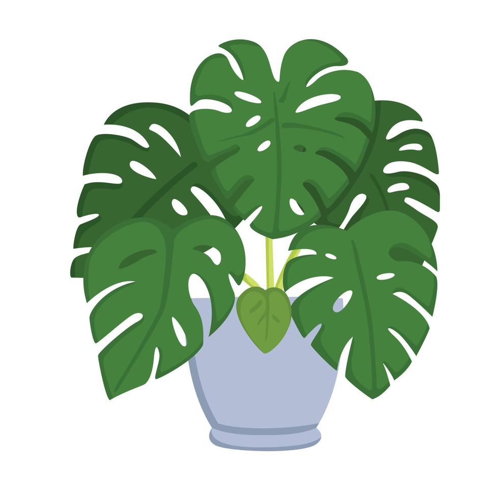 Hem växt monstera illustration vektor ClipArt