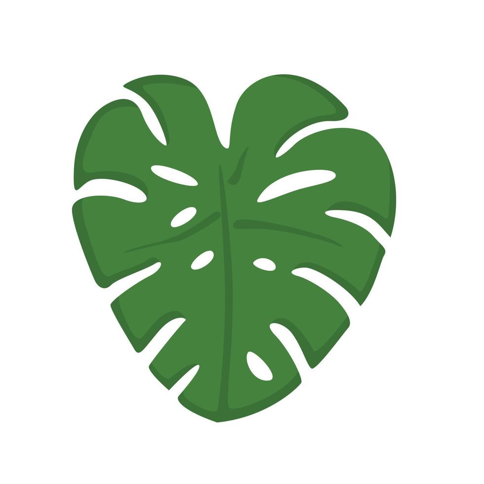 Hem växt monstera illustration vektor ClipArt