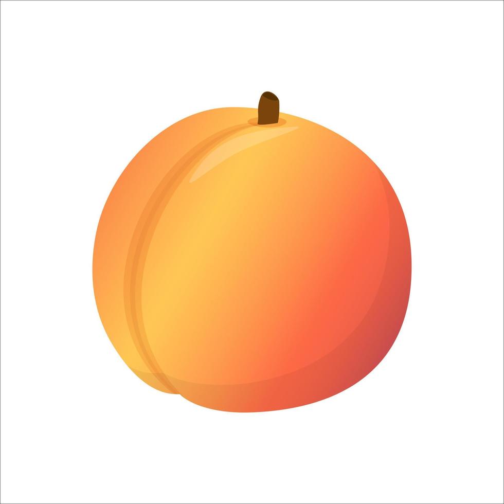 Pfirsich. süße Frucht, isoliert auf weißem Hintergrund, Vektorillustration im flachen Stil. vektor