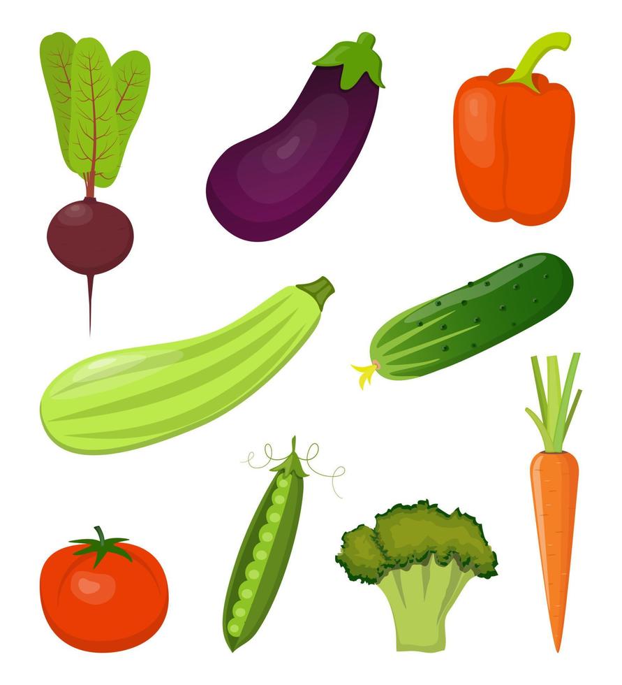 uppsättning av färsk grönsaker, ljus och färgrik, isolerat på vit. rödbetor, morötter, zucchini, äggplanta, broccoli, ljuv peppar, tomat, gurka, ärtor. vektor illustration.