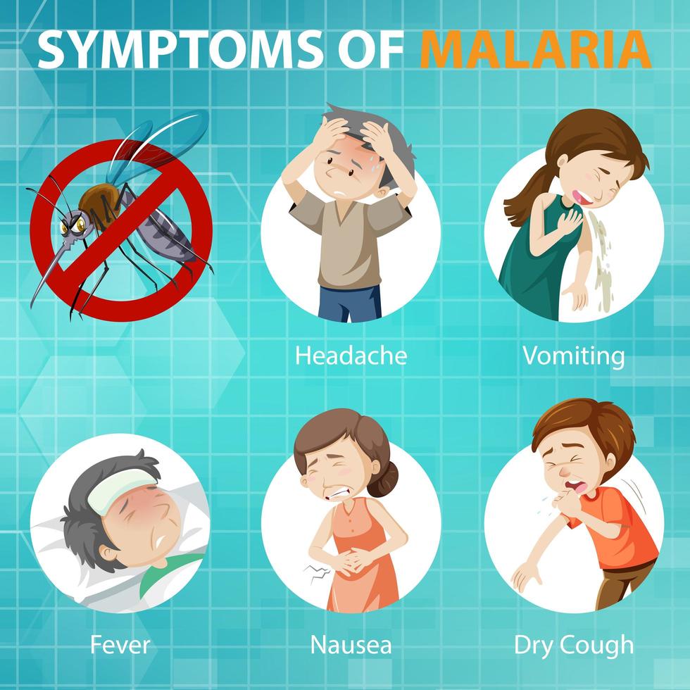 Malaria Symptome Cartoon-Stil Infografik vektor