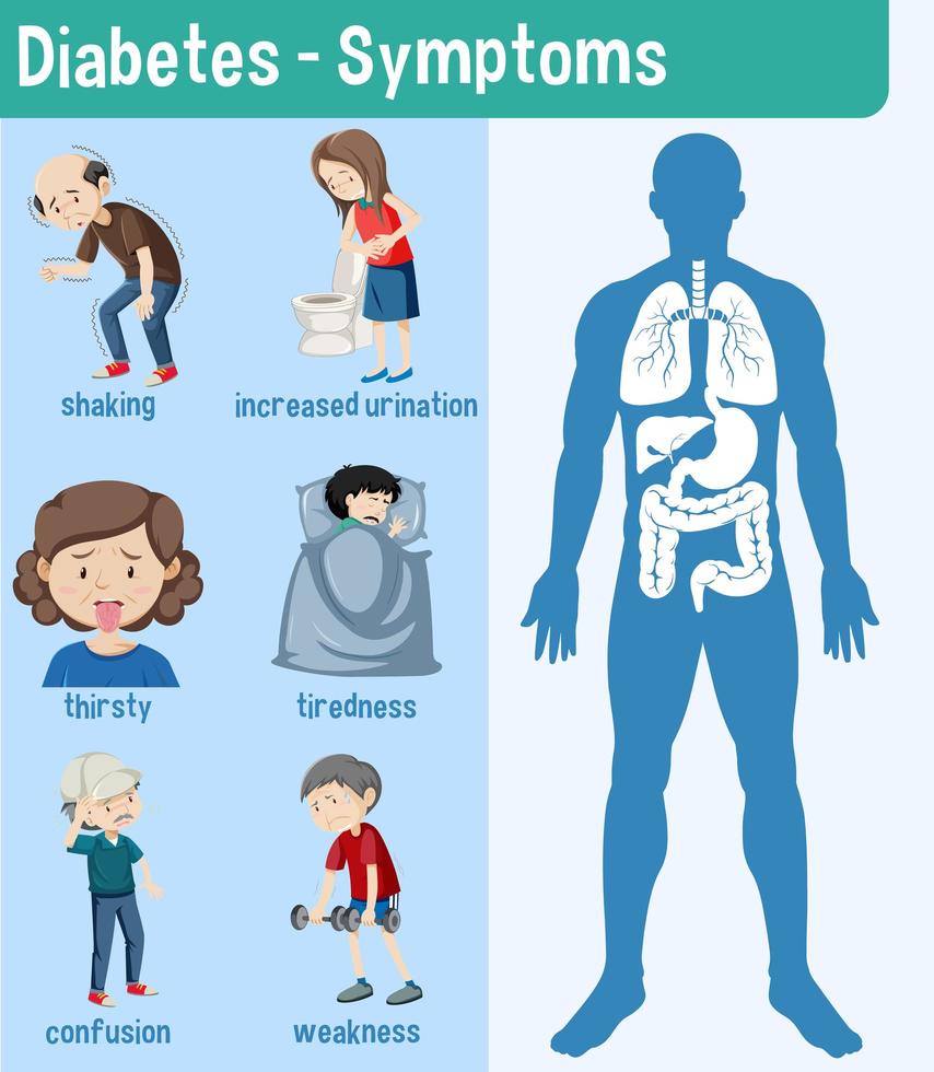 information om diabetes symptom infografisk vektor