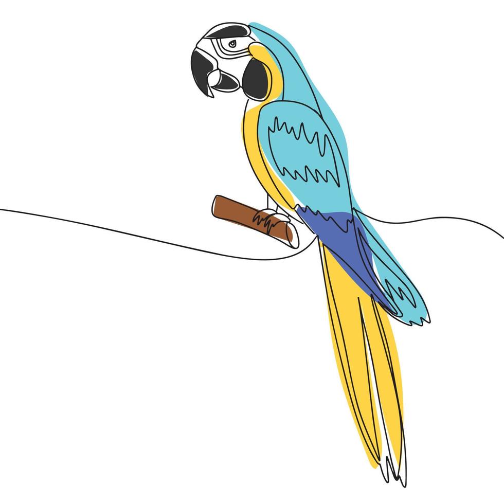 hand dra papegoja blå och gul i linje konst stil, ett fortsätter med Färg. vektor illustration.