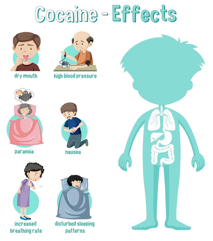 hälsoeffekter av kokaininfografik vektor