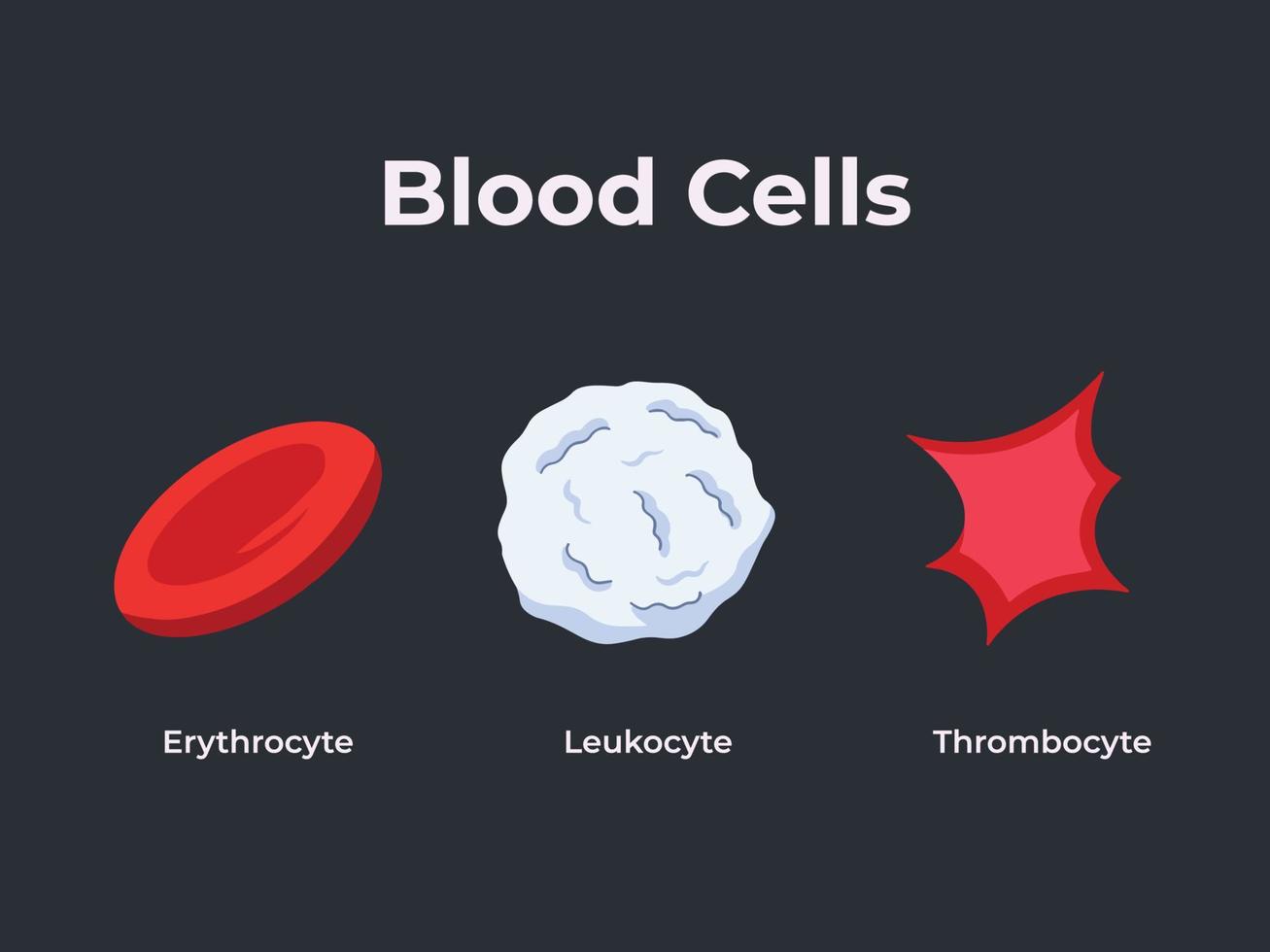 sätze von blutzellen mit flacher vektorillustration lokalisiert auf dunklem hintergrund. Piktogrammzeichnung mit Cartoon-Kunststil für die Ausbildung von Studenten der Gesundheitsbiologie mit Texten. vektor