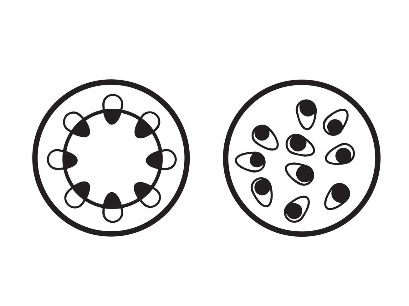 svart och vit dicot enhjärtbladig stjälkar växt strukturera isolerat. pedagogisk biologi piktogram teckning med modern tecknad serie enkel platt konst utan texter. vektor illustration uppsättning samling.