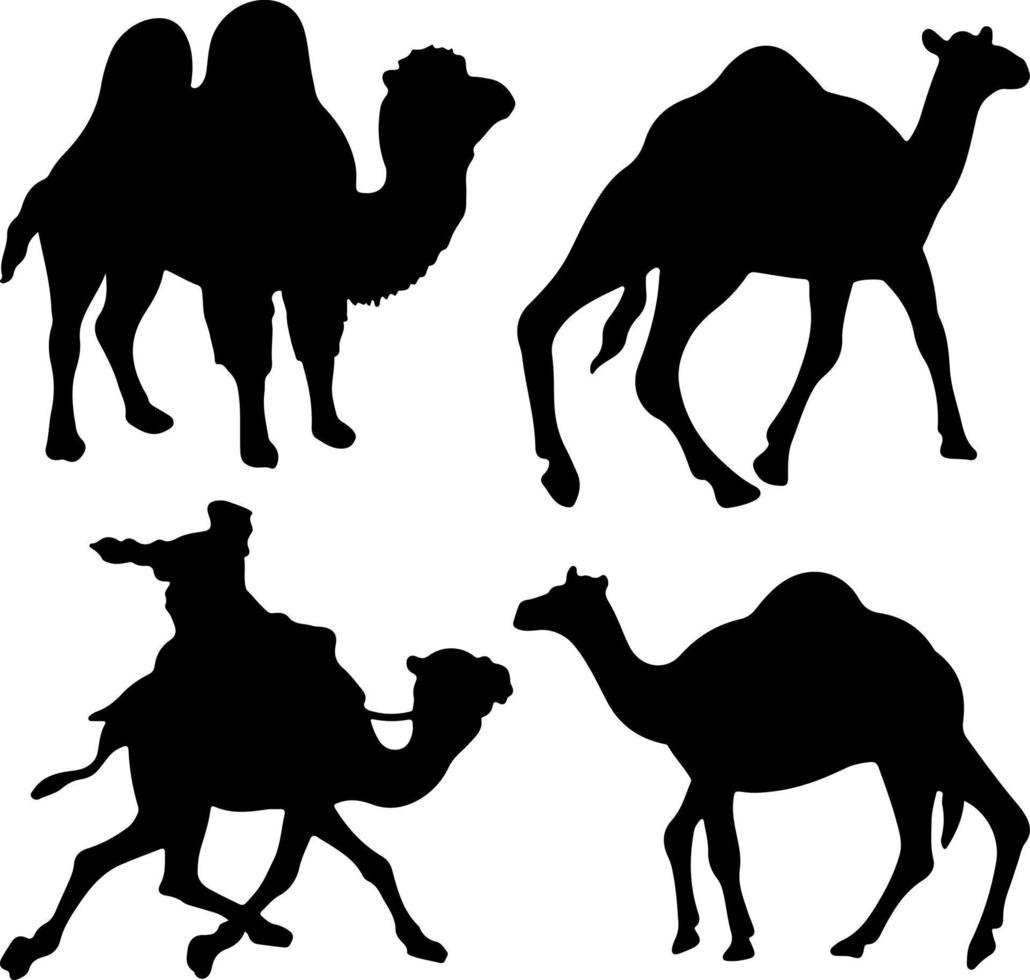 Kamel-Silhouette-Vektor für Websites, Grafiken im Zusammenhang mit Kunstwerken vektor