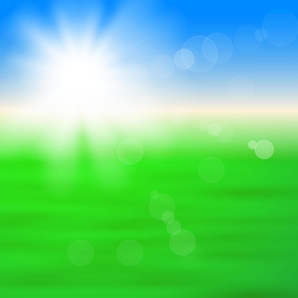 bakgrund med skinande Sol med bloss över de grön fält vektor