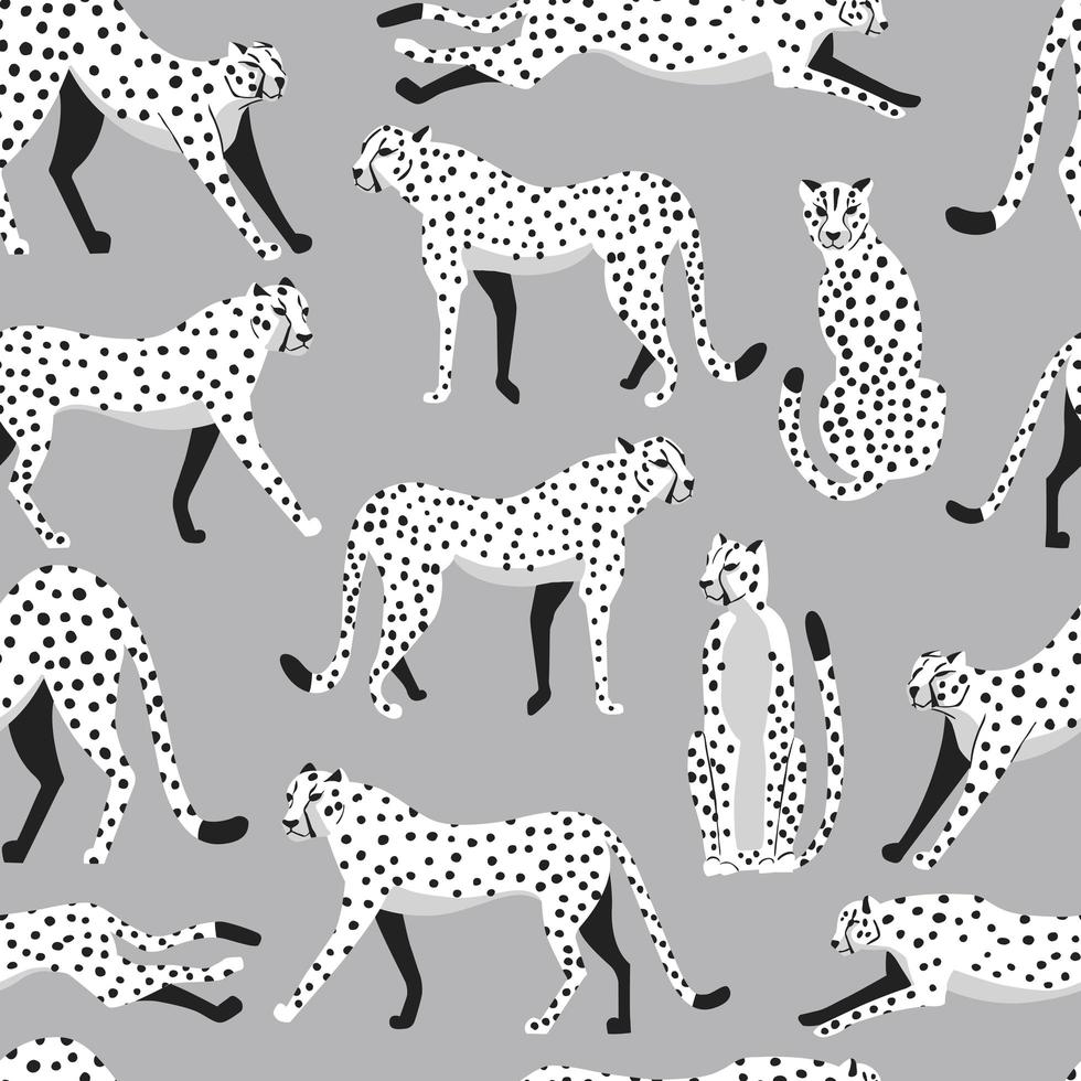 nahtloses Muster mit weißen Geparden der großen Katze vektor