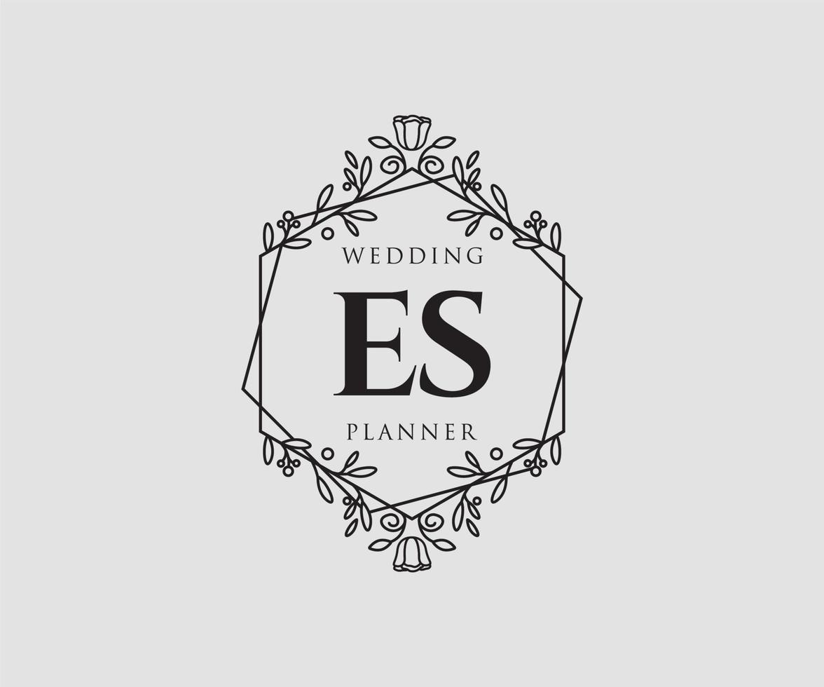 es initialer brev bröllop monogram logotyper samling, hand dragen modern minimalistisk och blommig mallar för inbjudan kort, spara de datum, elegant identitet för restaurang, boutique, Kafé i vektor